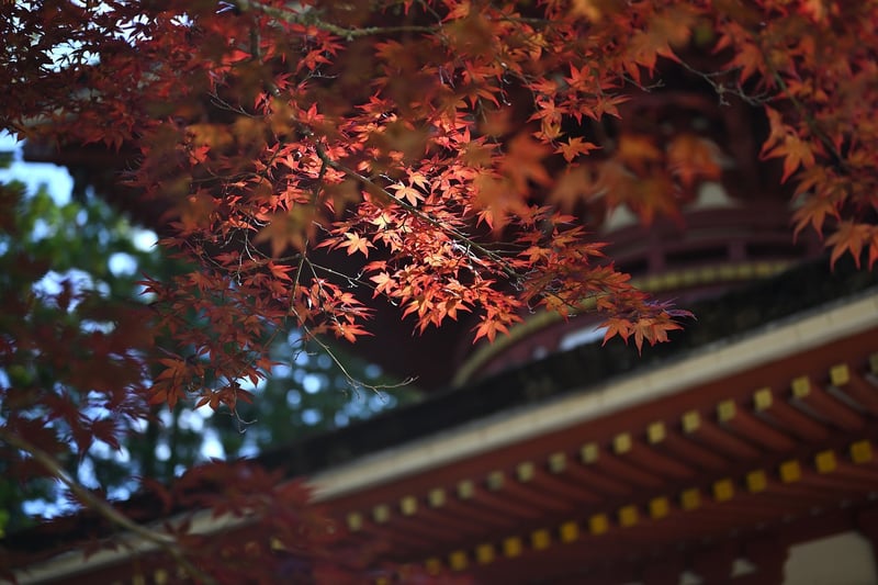 Scenic Outdoor Sites